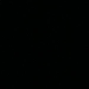 Meet your Posher, Brooklynn